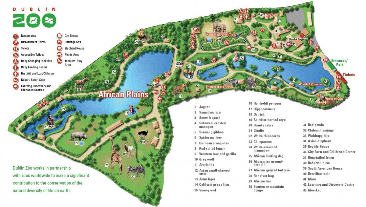 Mapa parku zoologicznego w Dublinie